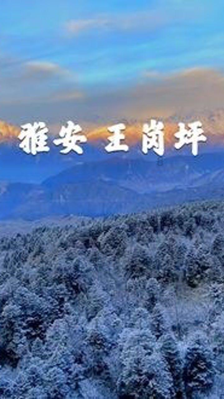 他总是思维超前这句话是夸赞的意思吗？游戏画面