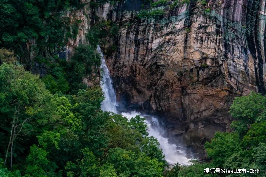 逗小猴开心系列199