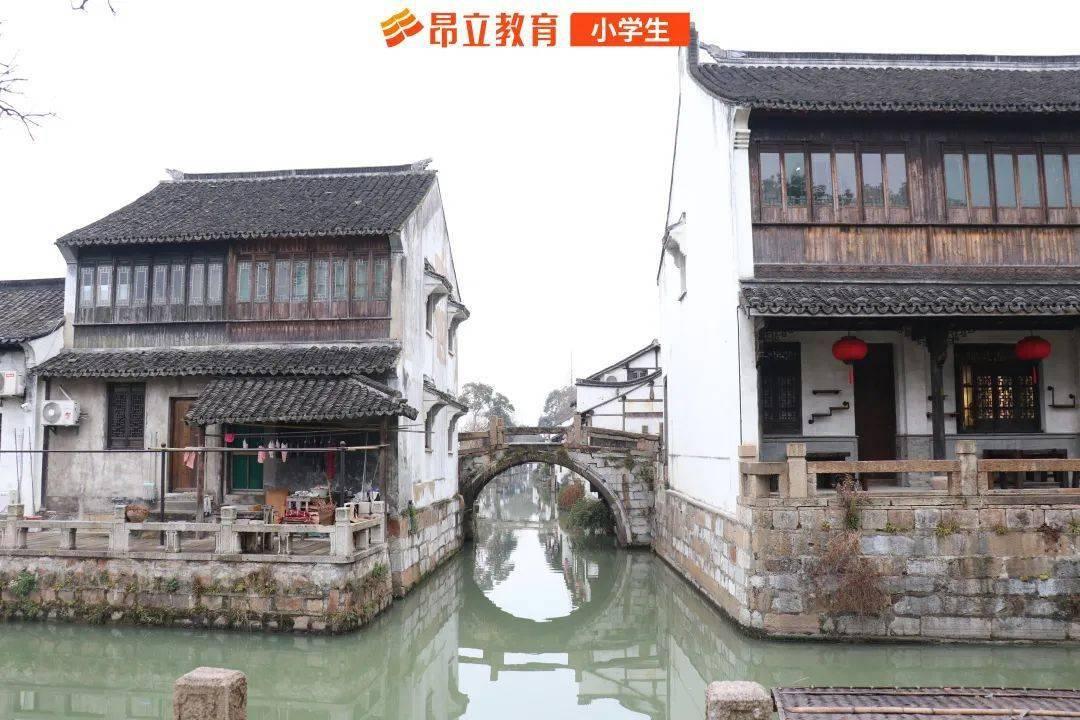 未来产业发展四论①|早改革：老树还要趁早发新芽